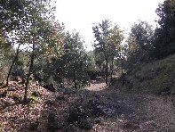 rruggeri-201011121 066
